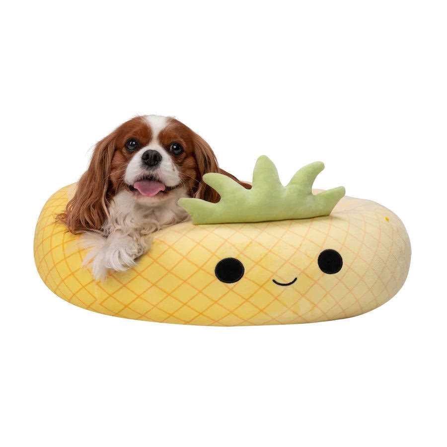 Pineapple Pet Bed C124