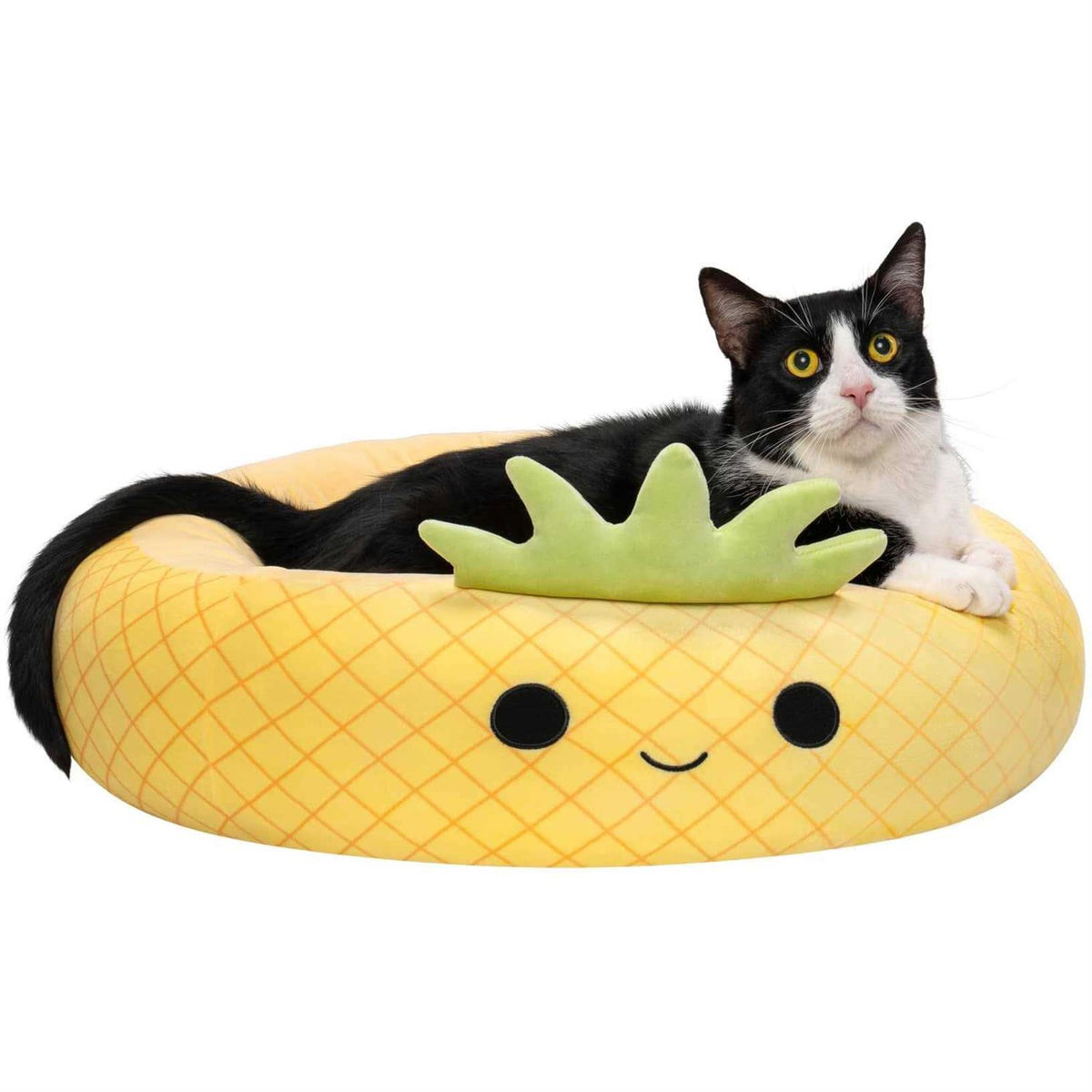 Pineapple Pet Bed C124