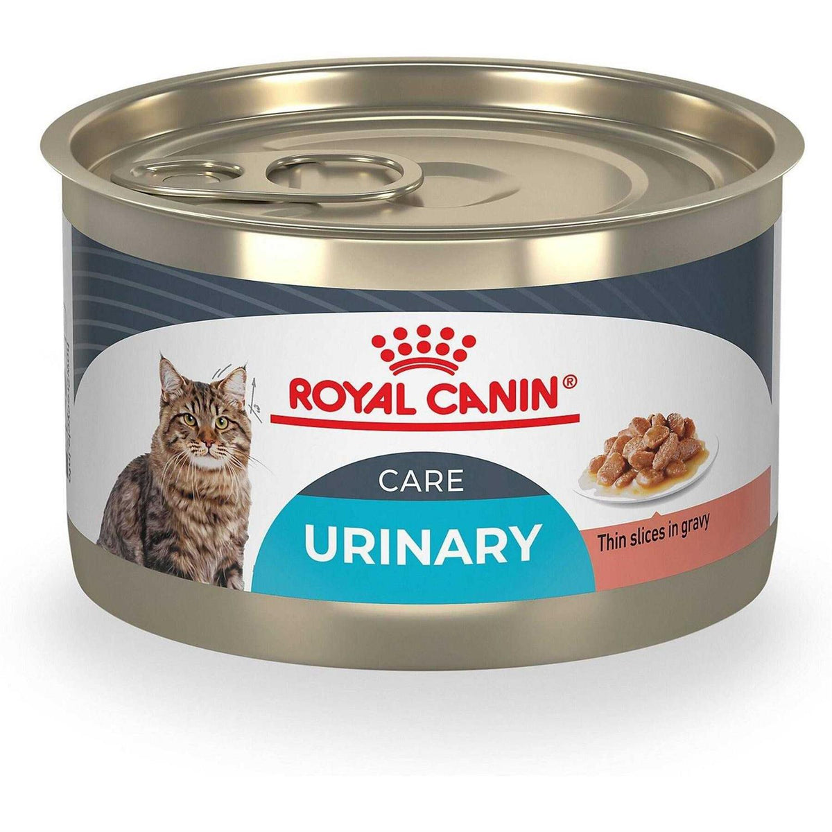 Thin Slices in Gravy Wet Cat Food Y643213