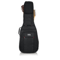 Double Acoustic/Electric Gig Bag U210764