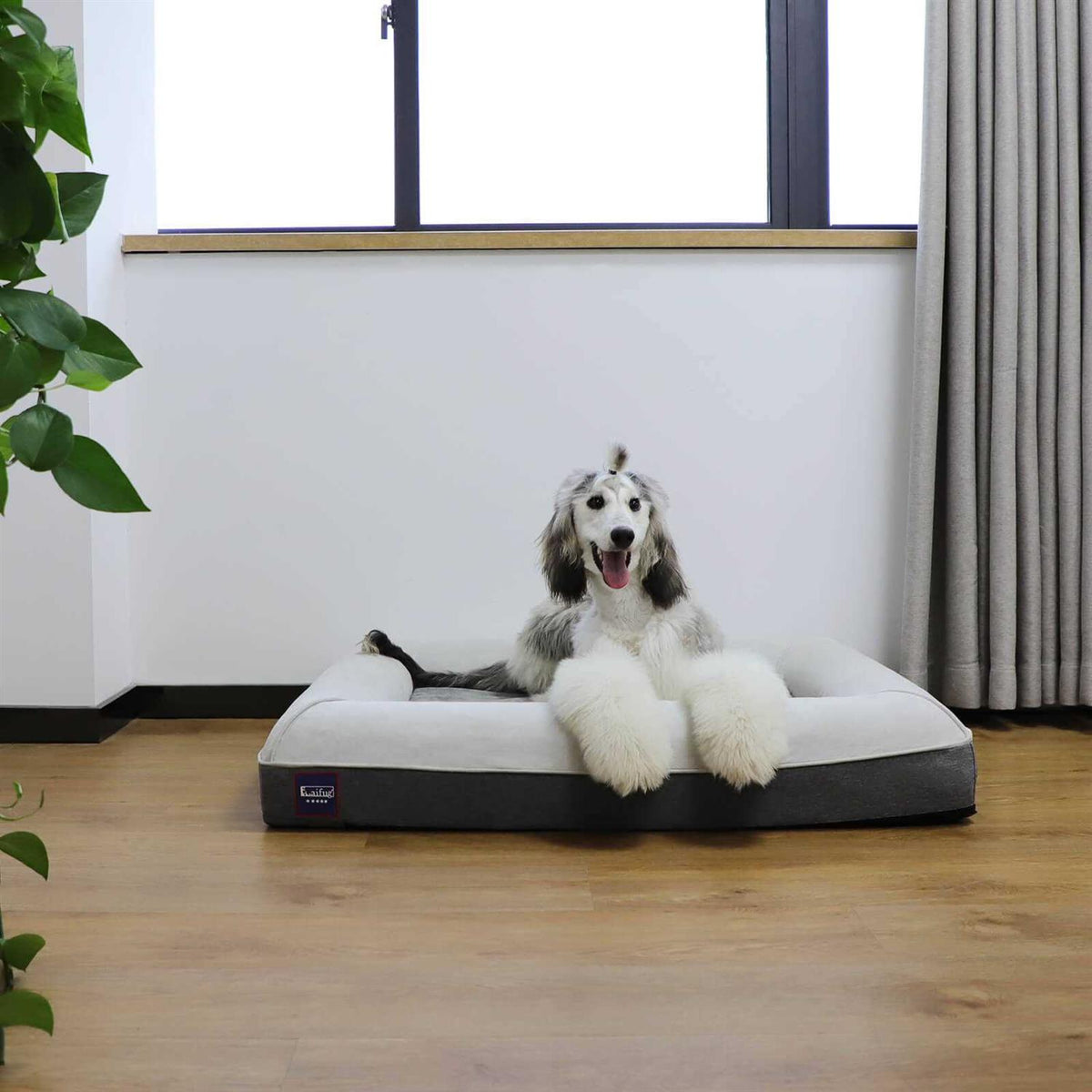 Large Dog Bed Orthopedic Memory Foam H13356