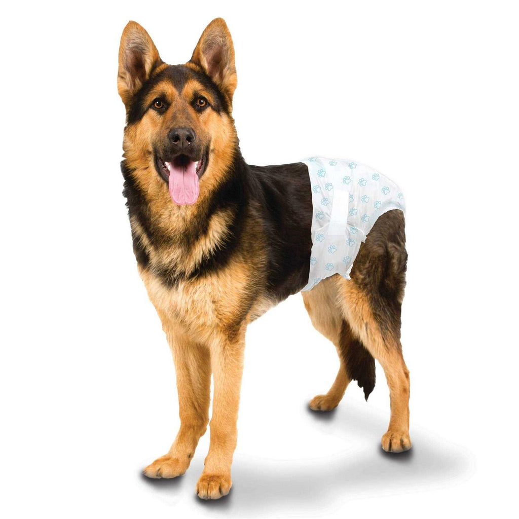 Disposable Diapers G477451