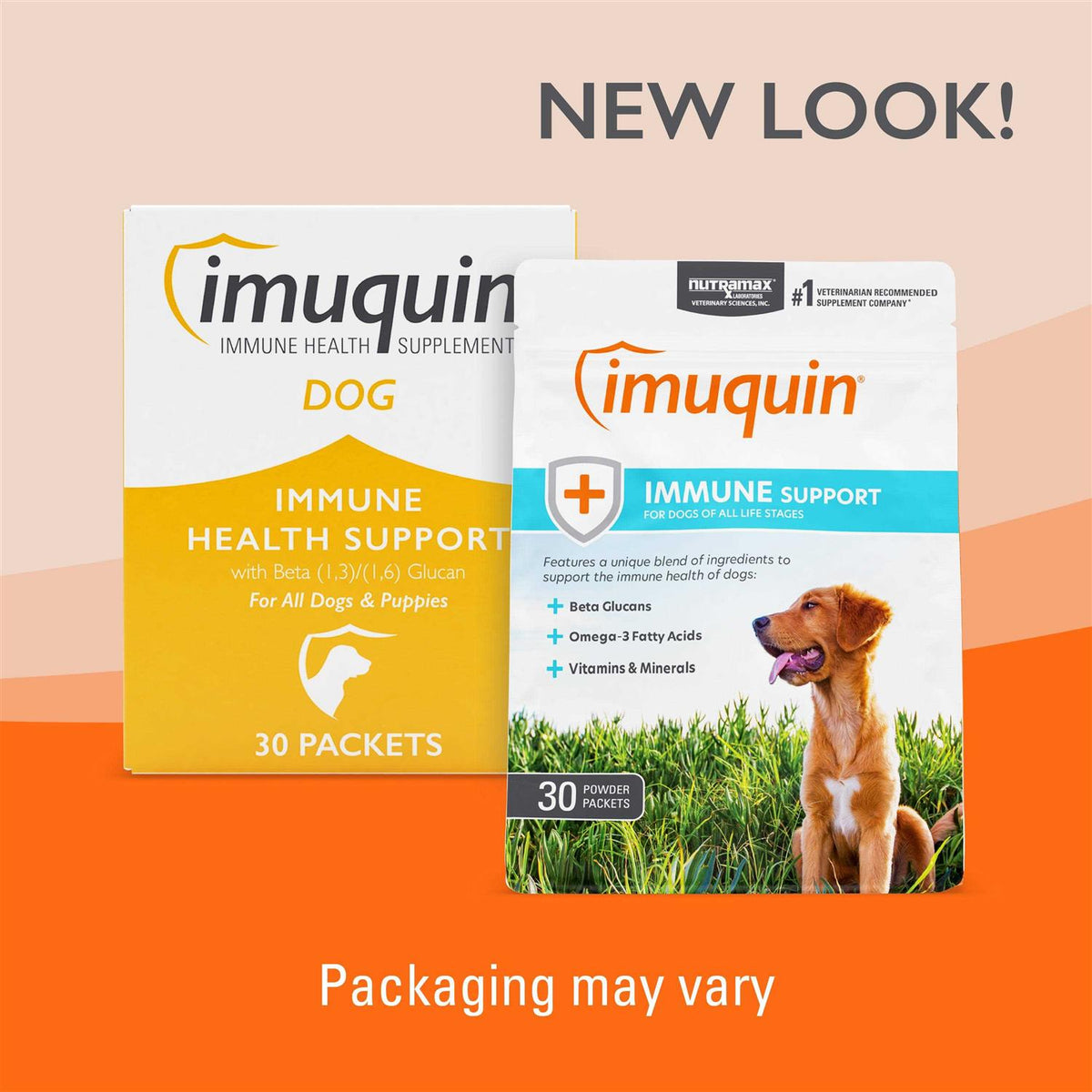 Immune Health Supplement Powder for Dogs F86067