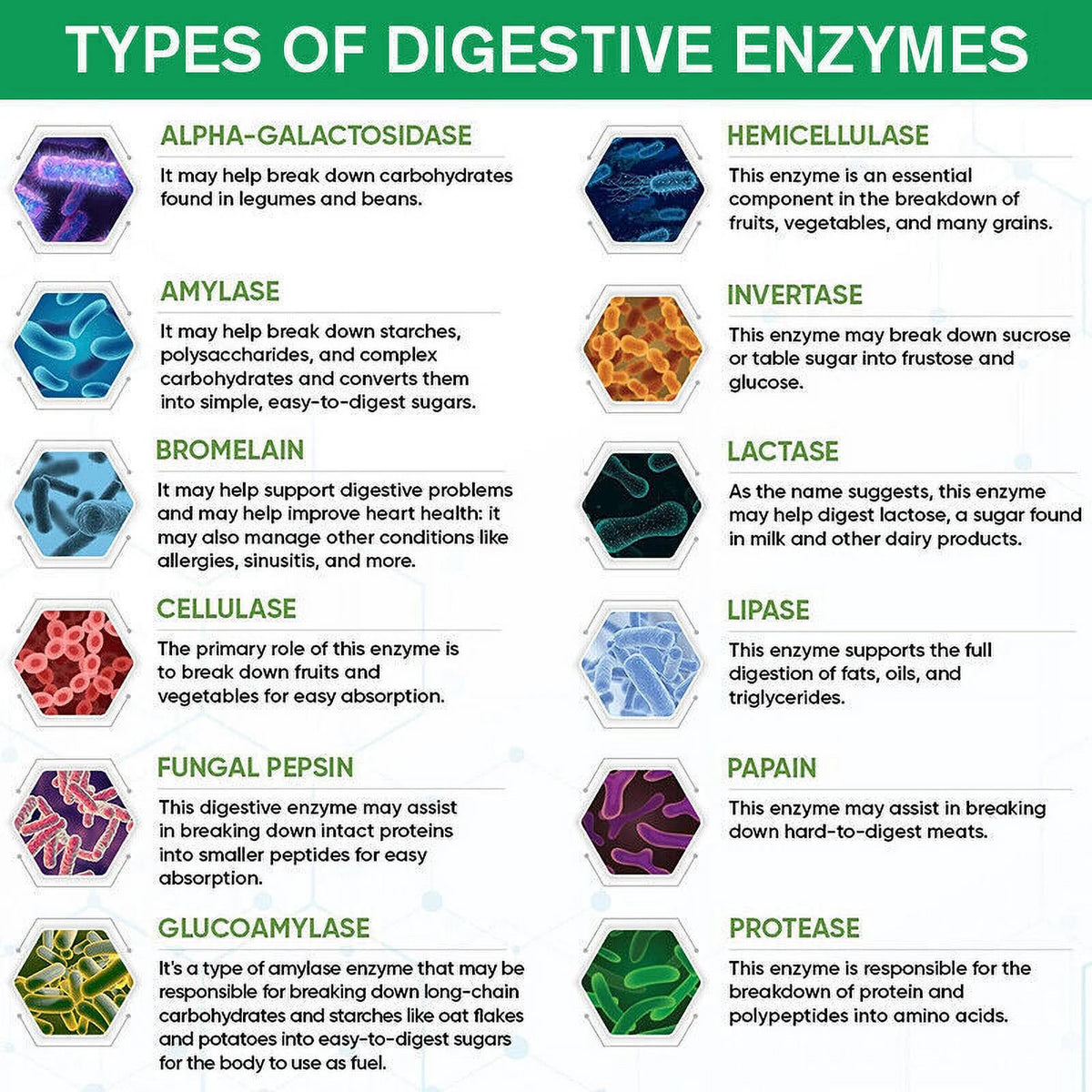 Probiotic Digestive Multi Enzymes 1200 mg 60 Capsules B526288