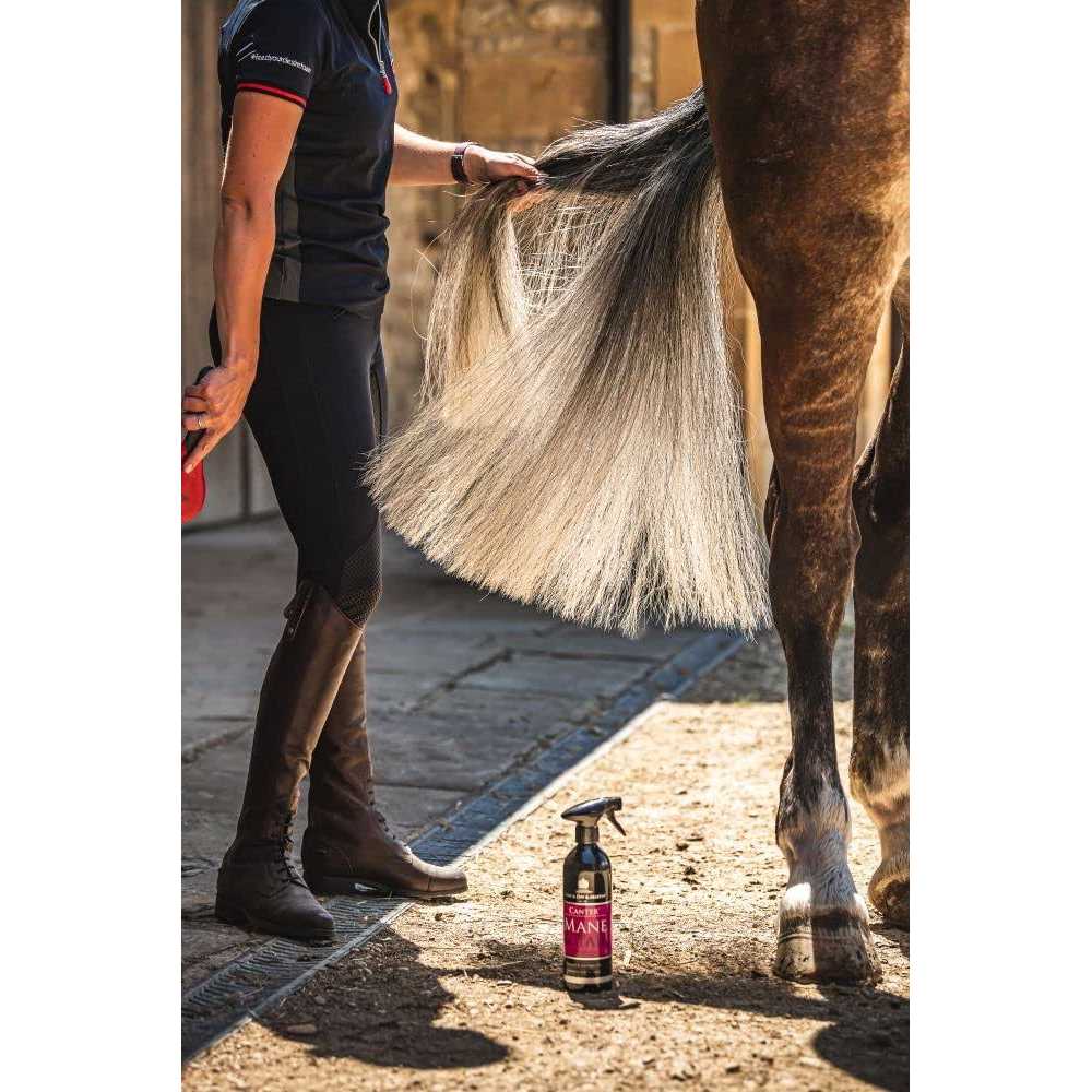 Mane & Tail Conditioner W6627