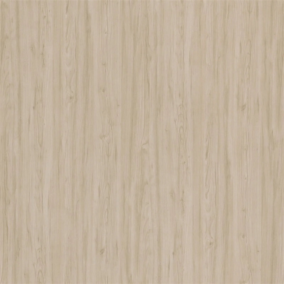 48W Adjustable Standing Desk in Natural Elm Q6834