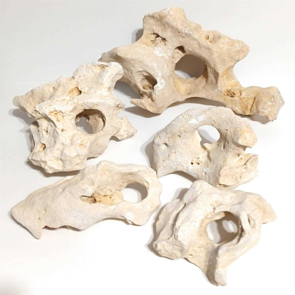 Holey Rock Aquarium Decor J1538