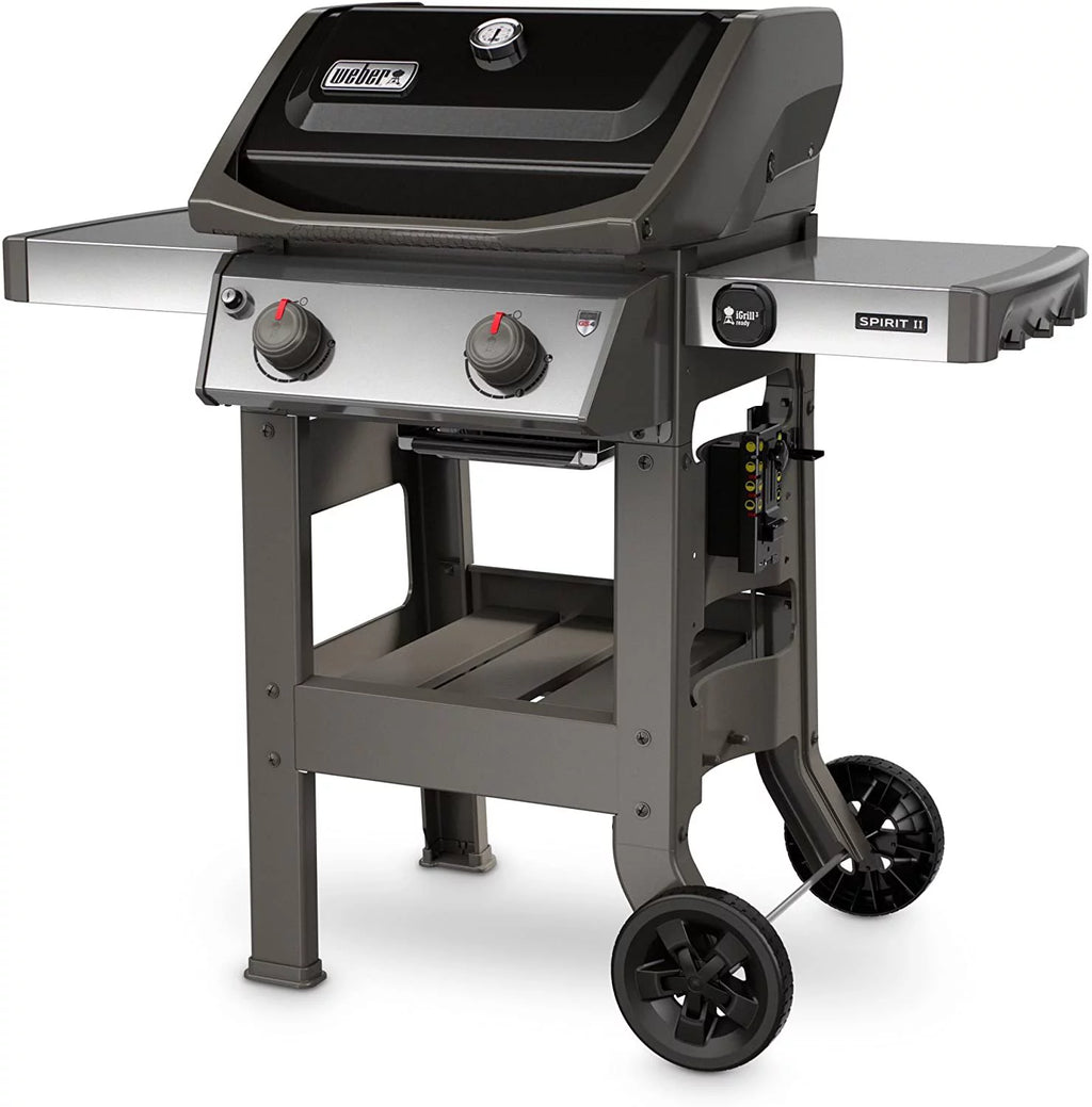 Black 2-Burner Liquid Propane Grill H152