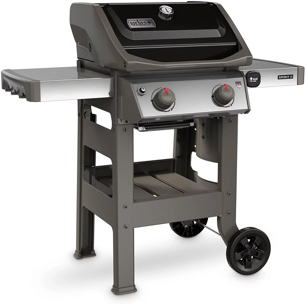 Black 2-Burner Liquid Propane Grill H152