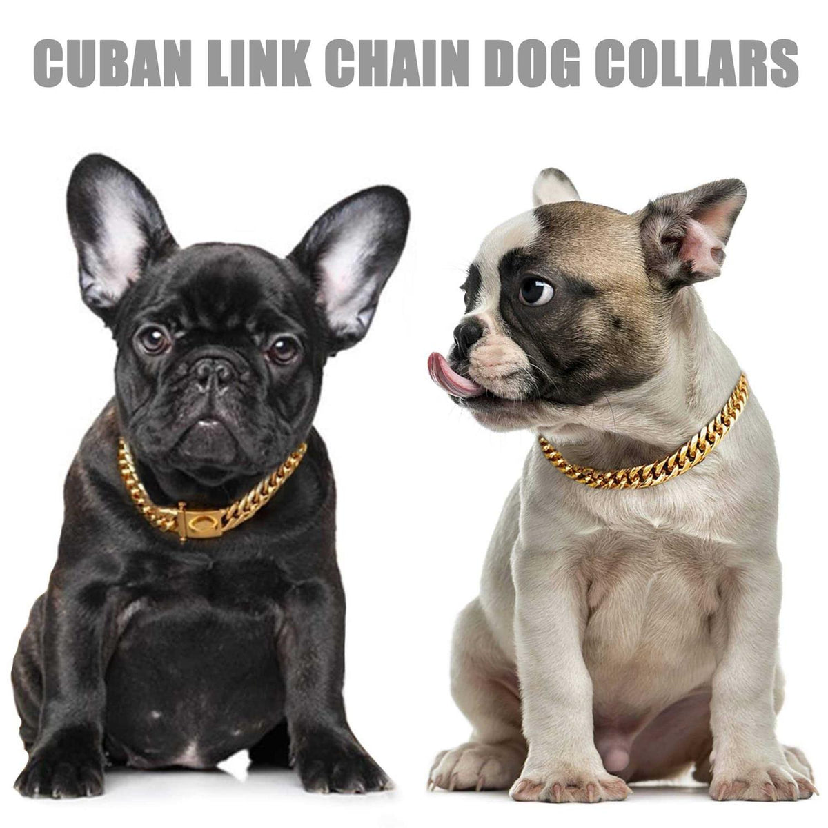 Gold Chain Dog Collar 16MM Cuban Link with Snap Buckle H347