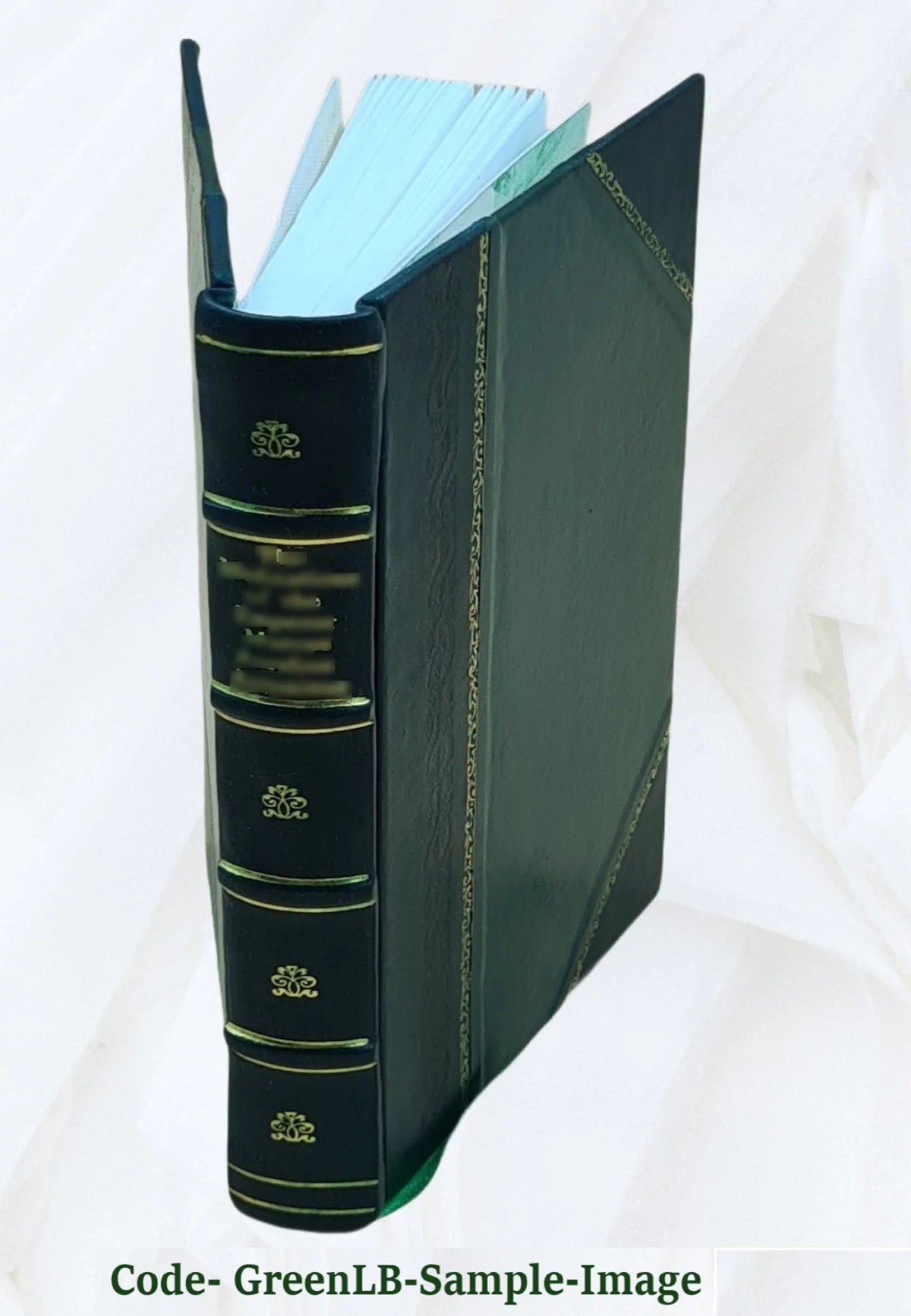 Elektro-Homoeopathie Grundsätze einer neuen Wissenschaft 1883 Leather Bound Z284043