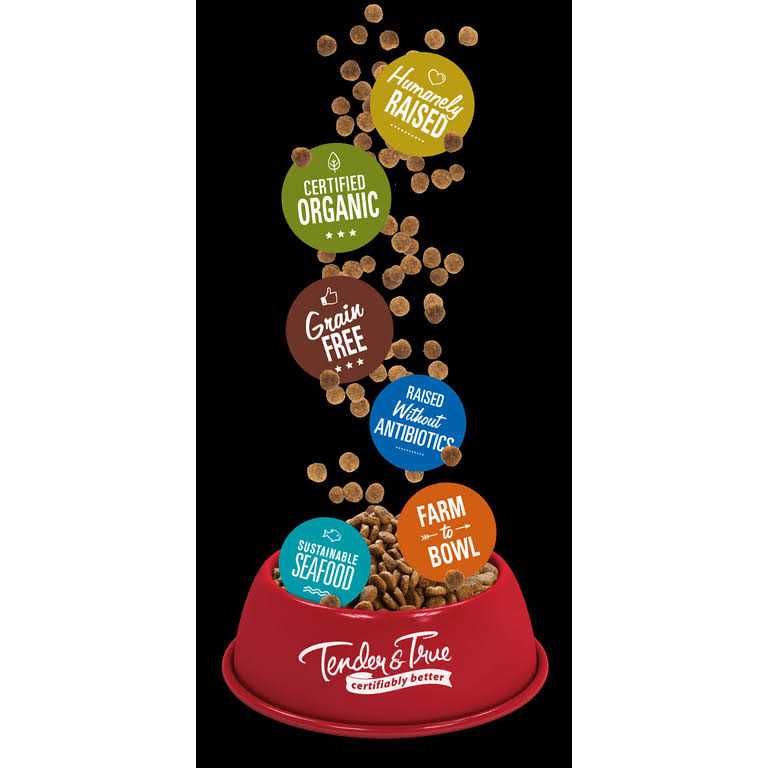Salmon & Sweet Potato Recipe Dry Cat Food L6862