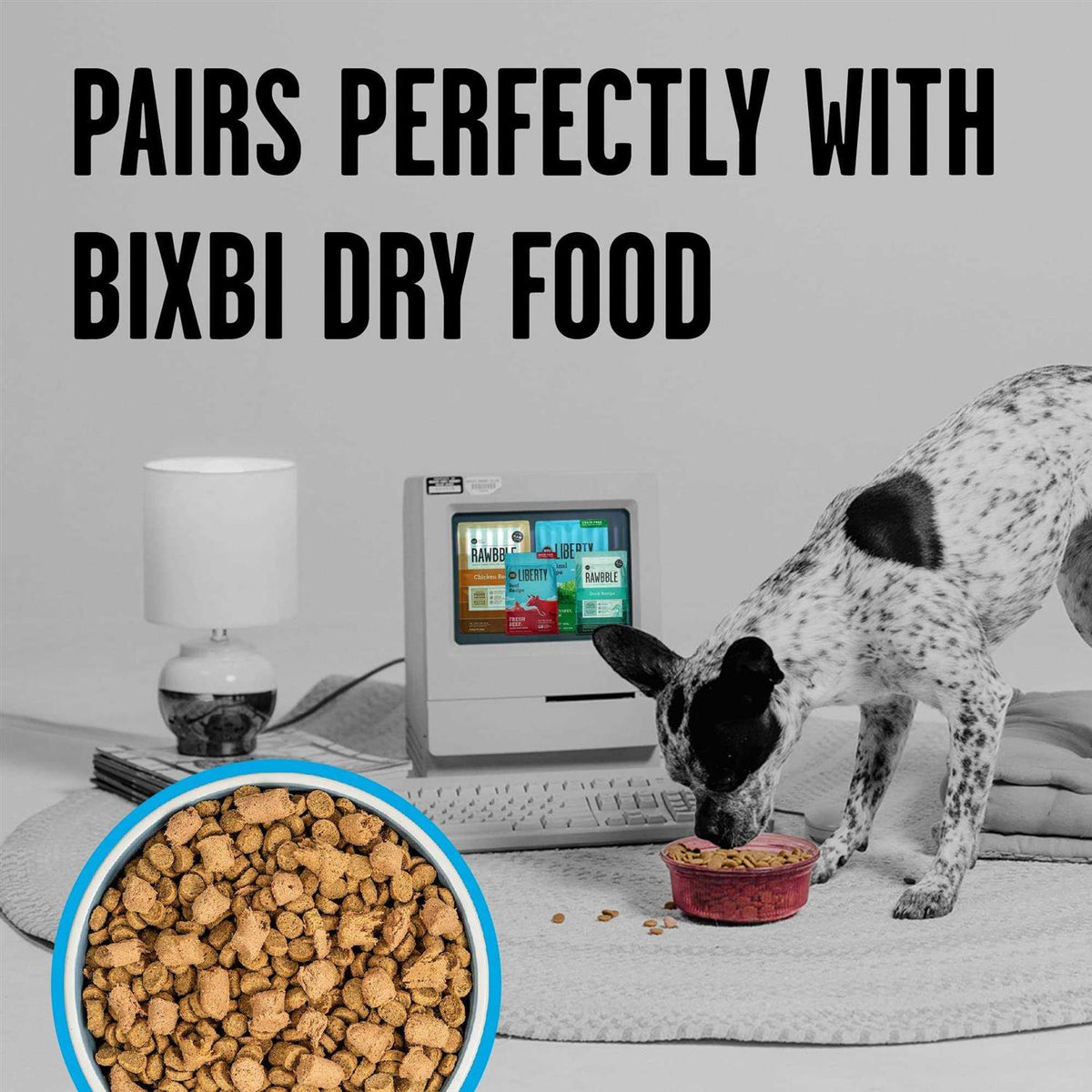 Chicken Freeze-Dried Dog Food H865292