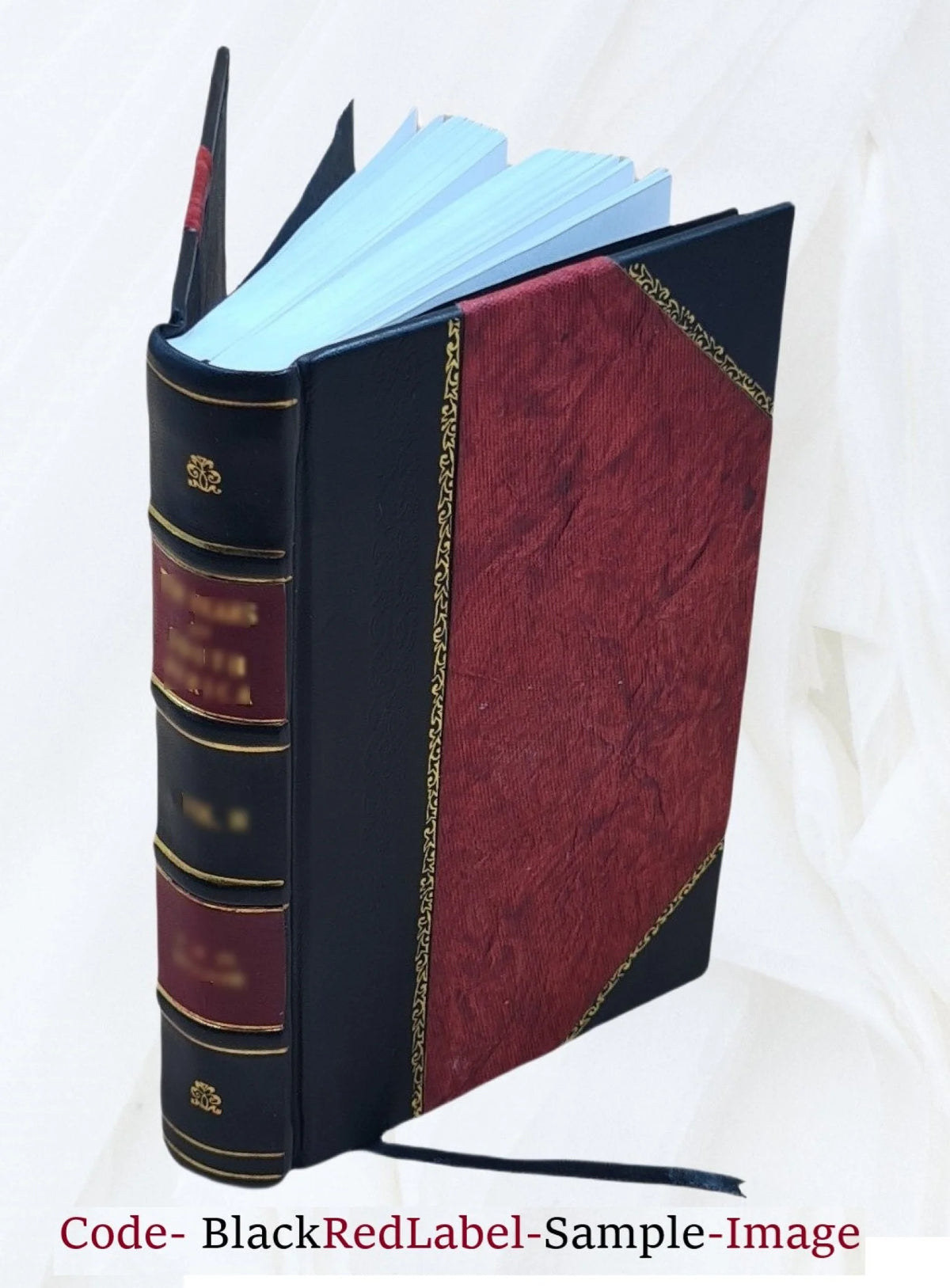 Elektro-Homoeopathie Grundsätze einer neuen Wissenschaft 1883 Leather Bound Z284043