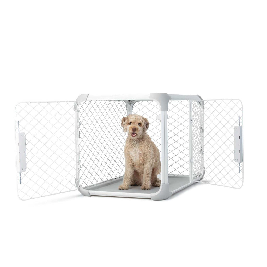 Dog Crate I58055