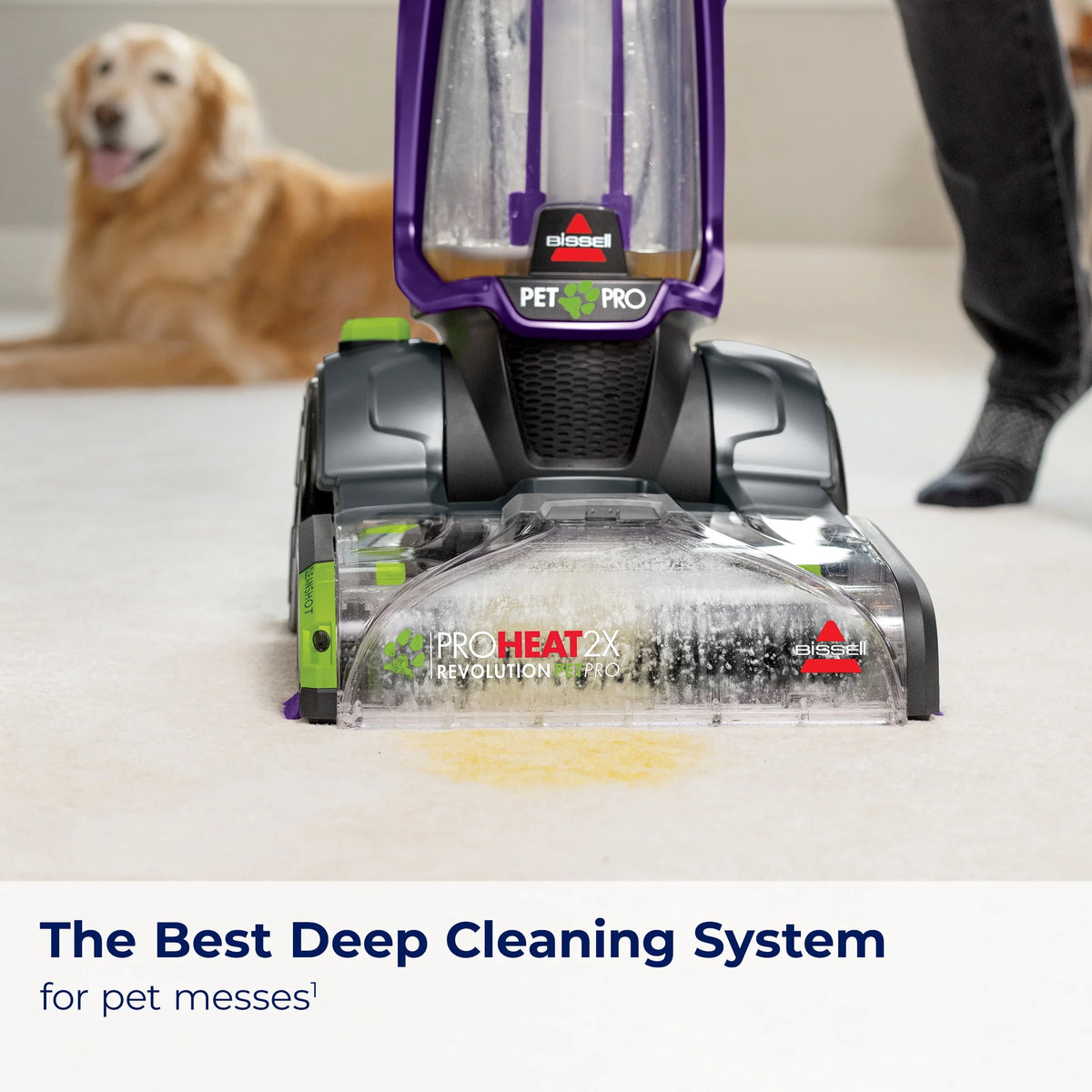 Full-Size Pet Carpet Cleaner M29859