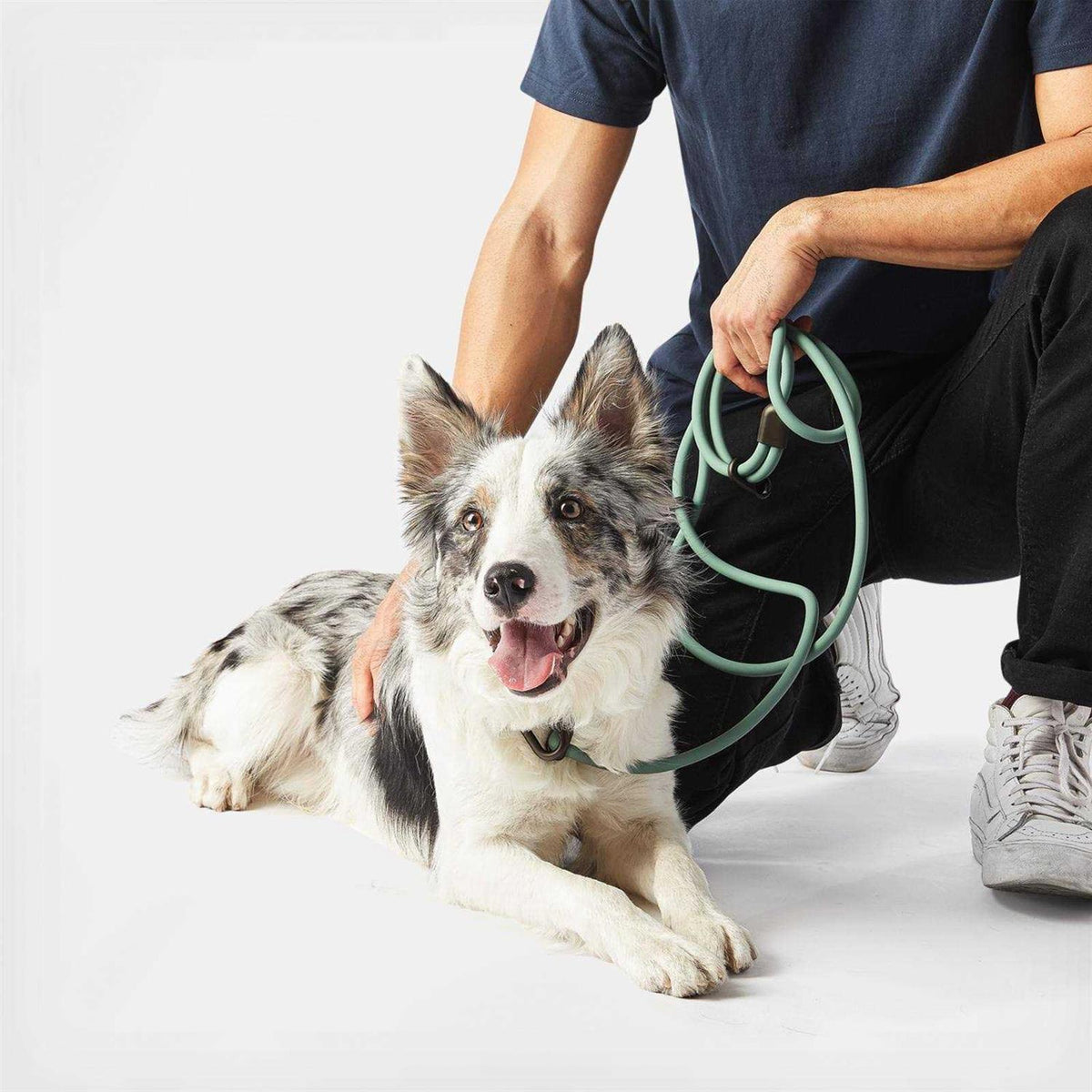 Hands-Free Dog Leash U873